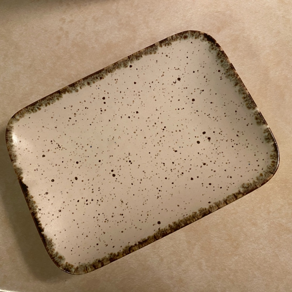 Casafina for Pottery Barn Stoneware Soap Dish